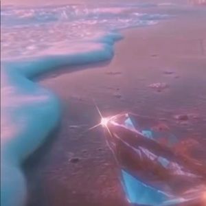 Meet your Posher, Laina